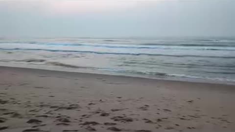 Morning view of gopalpur sea beach ⛱️⛱️⛱️