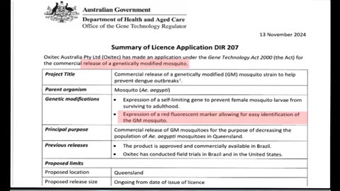 GM Mosquitoes To Be Released in Queensland: What Could Possibly Go Wrong?