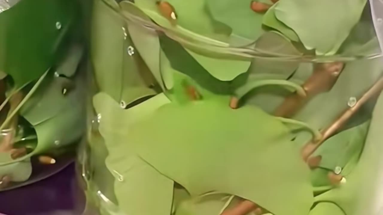 💡👀 Mind-Blowing Hack in Just 8 Seconds! | LifeHacksDaily