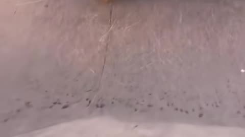 🛹😎 Too Smooth! | SkateNation