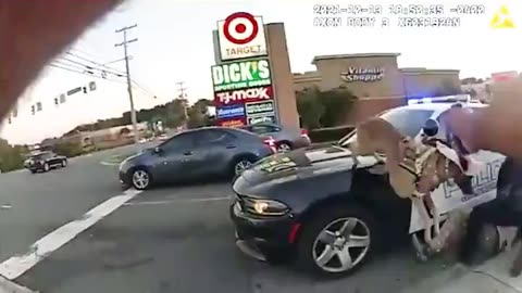 Disabled Vet Attacked & Arrested, His Dog Tasered