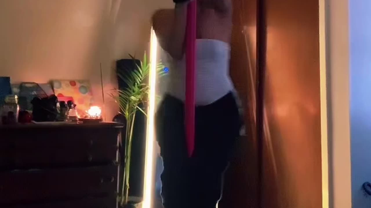 Cat and Its Owner Pole Dancing at Home