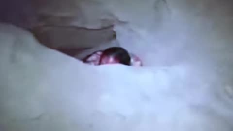 😱👻 You Won't Believe What They Caught on Camera! #horror #realhorror #realhorrortok #scaredv #realho