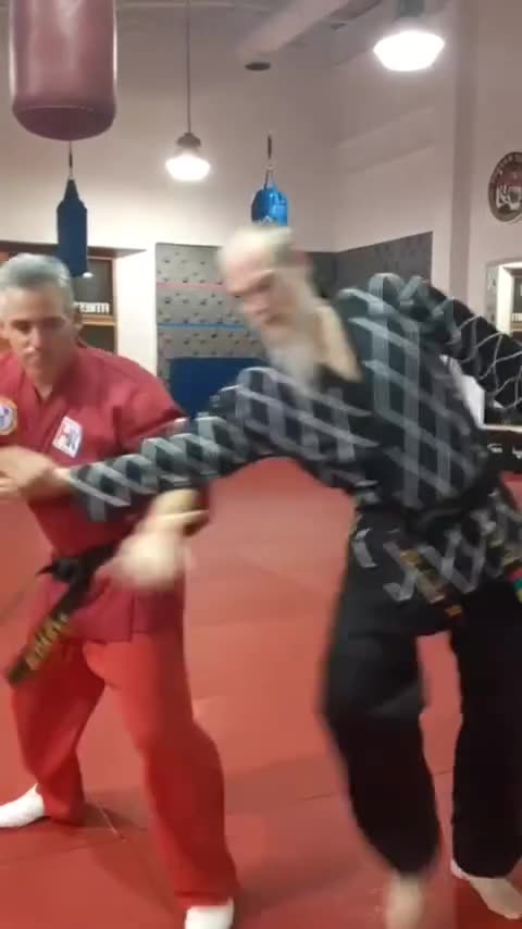 Tong Hap Kwan Hoshinsul Flow Drill