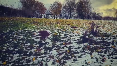 Everything You Need To Know About The UK