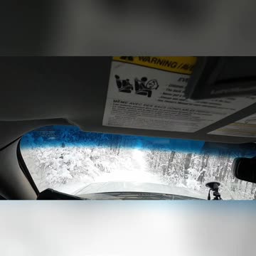 Navigating Obstacles_ Can We Clear the Tree #cabincrewlife #cabinlife