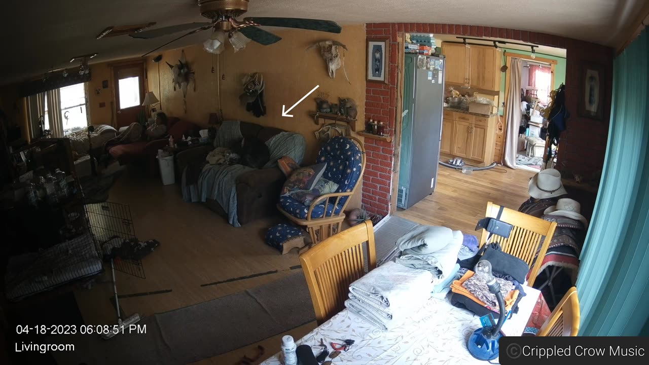 ⚠️🐦 Raven On The Receiving End of Paranormal Activity! | TheHauntingHour