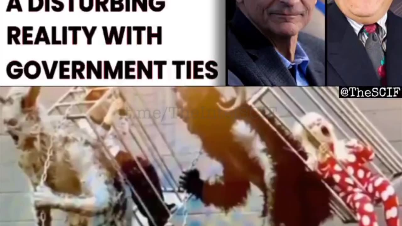 EXPOSING THE PODESTA BROTHERS