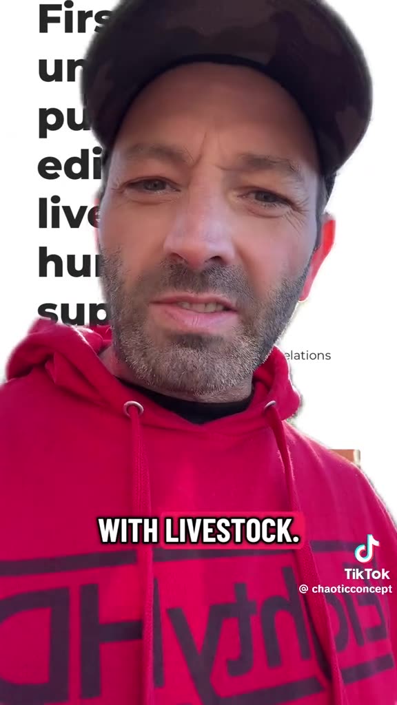 SOMETHING IS JUST OFF WITH OUR 😳FOOD