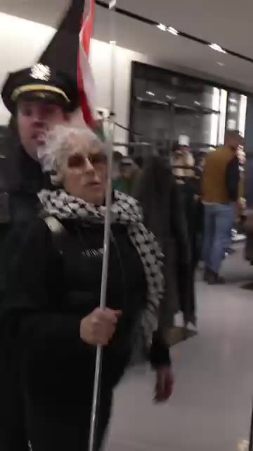 Anti-Israel agitators boycotting Black Friday stormed a ritzy Fifth Avenue store in New York City