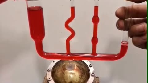 💡✨ A Clever Hack You'll Wish You Knew Sooner | LifeHacksDaily