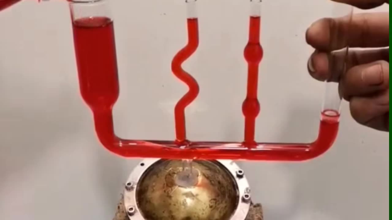 💡✨ A Clever Hack You'll Wish You Knew Sooner | LifeHacksDaily