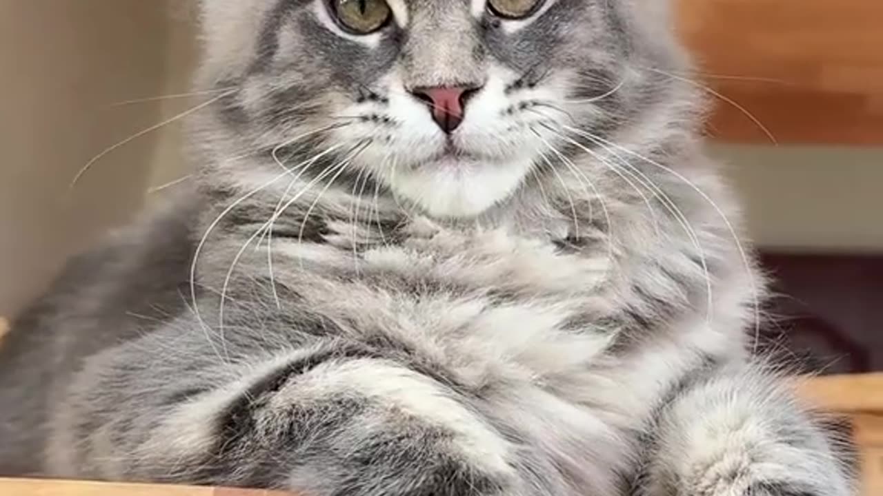 Just for you