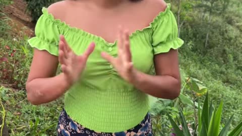 Así se Hacemos la Carne Vegetariana.