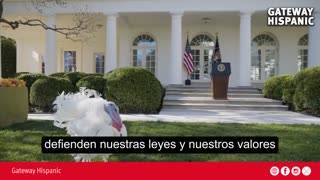 The U.S. Tradition of the Presidential Turkey Pardon