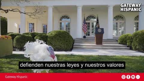 The U.S. Tradition of the Presidential Turkey Pardon