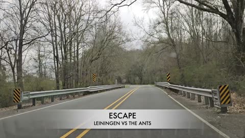 Old Time Radio Lagniappe - Leiningen vs The Ants (Escape)