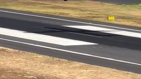 Expert Plane Landing On Short Runway With Crosswinds At Madeira