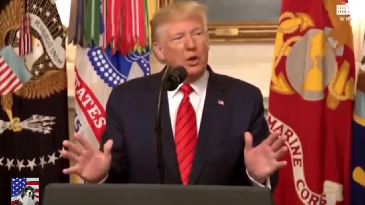 The FUNNIEST video of Donald Trump on the internet 🤣
