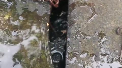 😨🔍 What’s Lurking Beneath? | TheHauntingHour