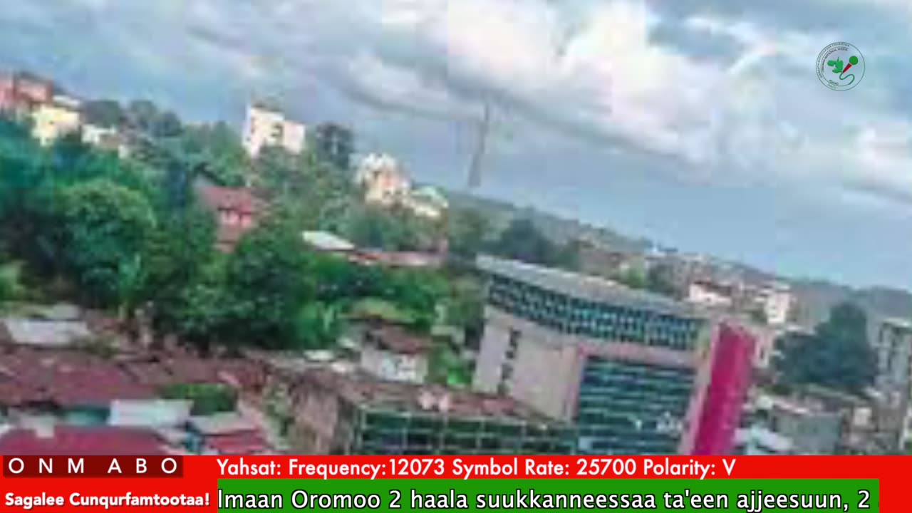 Oduu Ganama ONM-ABO Bitootessa 28-2025 itti dhiyaadhaa!