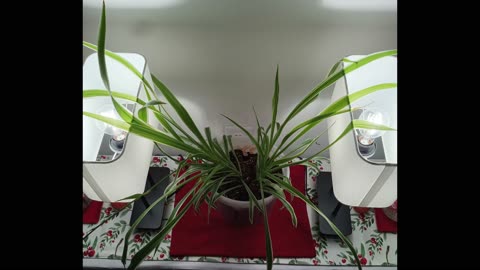 LORD GOD, and for the PARENTS I Pray!!! 10302025