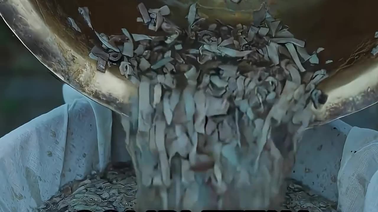 How Donkey Hide Became a Survival Essential