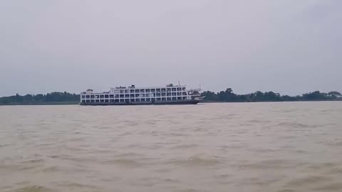 Daily Horoscope | Cancer 🌟