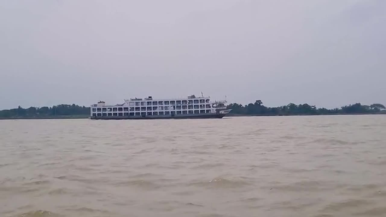 Daily Horoscope | Cancer 🌟