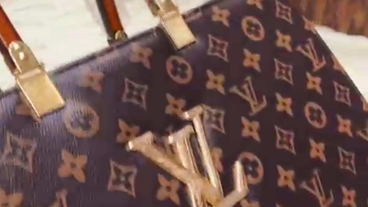 Combo deal Womens hand bag