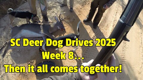 SC Deer Dog Drives 2025! Week 8. Awesome Hunt!