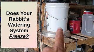 Enhancing Our Rabbit Watering System for Freezing Temperatures
