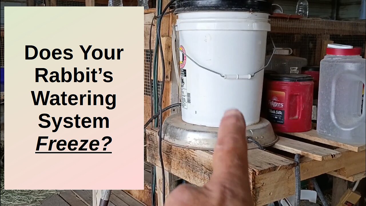 Enhancing Our Rabbit Watering System for Freezing Temperatures