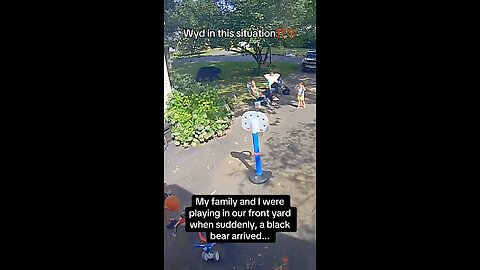 The bear had no idea what the shouting was about