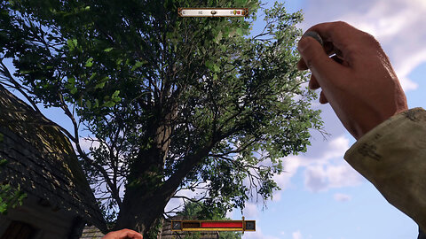 Kingdom Come Deliverance 2 - How to Get Nests