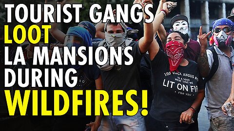 Chilean Gangs Who Set Blazes and Fanned Out to Scoop Up Treasures From Rich and Famous