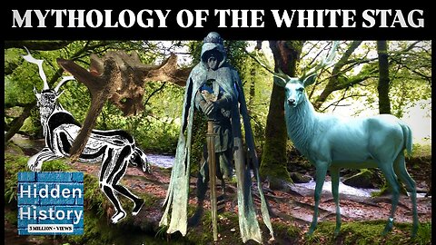 A rare white stag has been seen - what does the sighting mean in history, folklore and mythology?