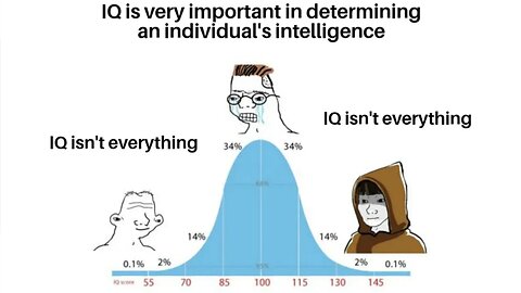 Why IQ does NOT equal intelligence