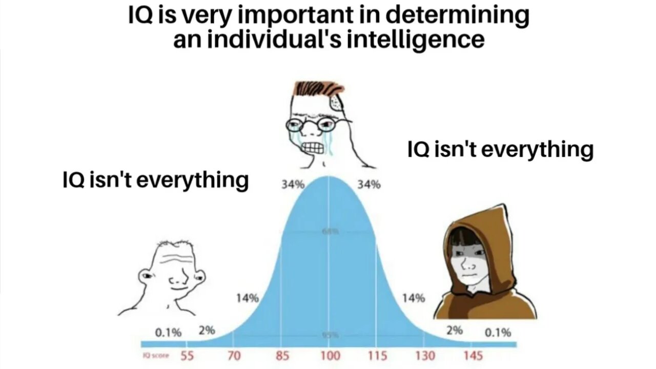 Why IQ does NOT equal intelligence