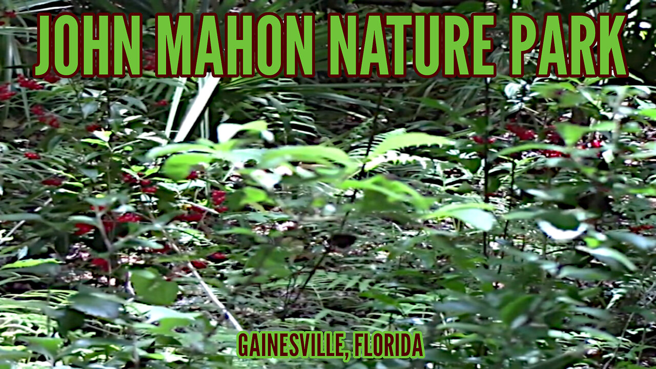 John Mahon Nature Park