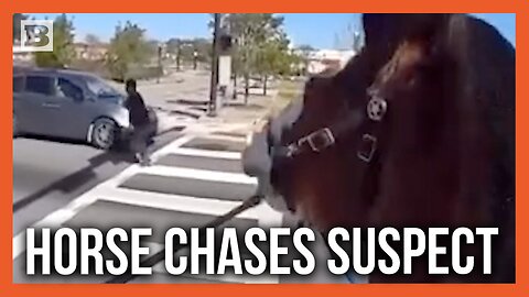 Suspect Who Allegedly Handed Off Illegal Drugs Attempts to Run from Police on Horseback