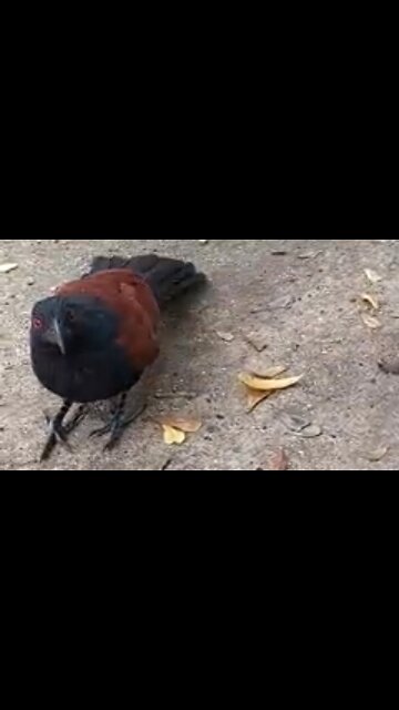 A GODLY HEART - DAILY DEVOTIONAL ❤️