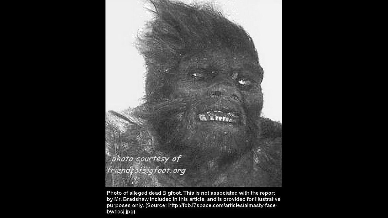 REAL BIGFOOT EVIDENCE SLIDESHOW