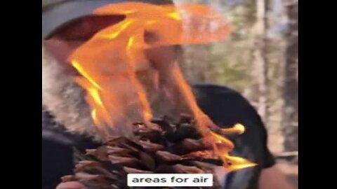 PRIMITIVE SURVIVAL, Pine Cones Can Be A Great Tinder - Firestarter