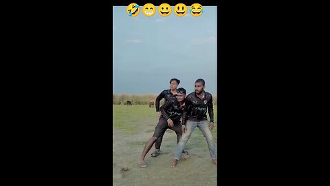 funny videos