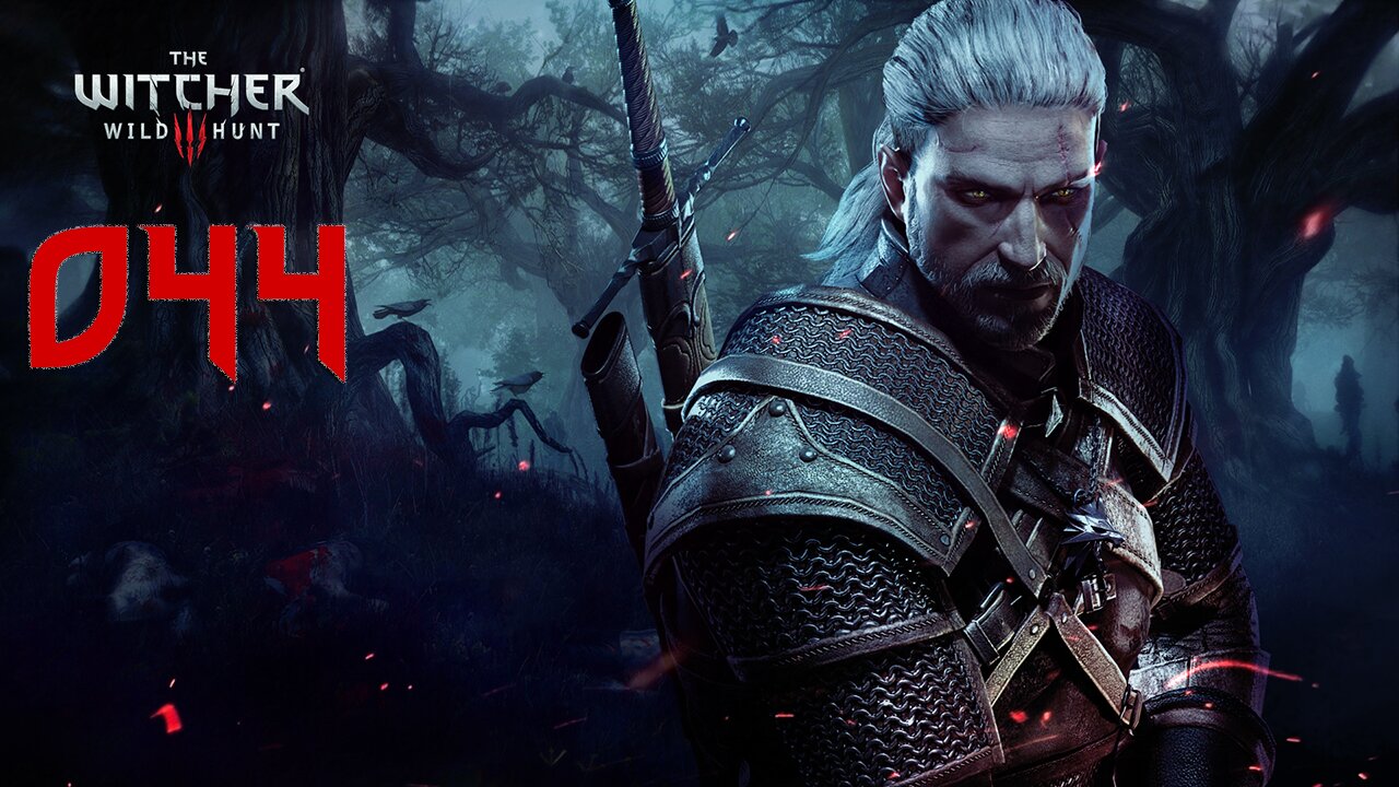 The Witcher 3 Wild Hunt GOTY Death March 044 Playing Hide & Seek