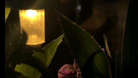 Rain sounds for relaxation