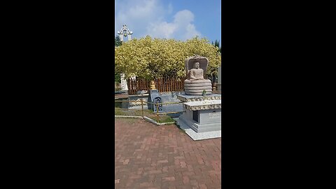 white bo three in srilanka nagadipa temple