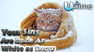 ❄️Your Sins Are Made White as Snow❄️