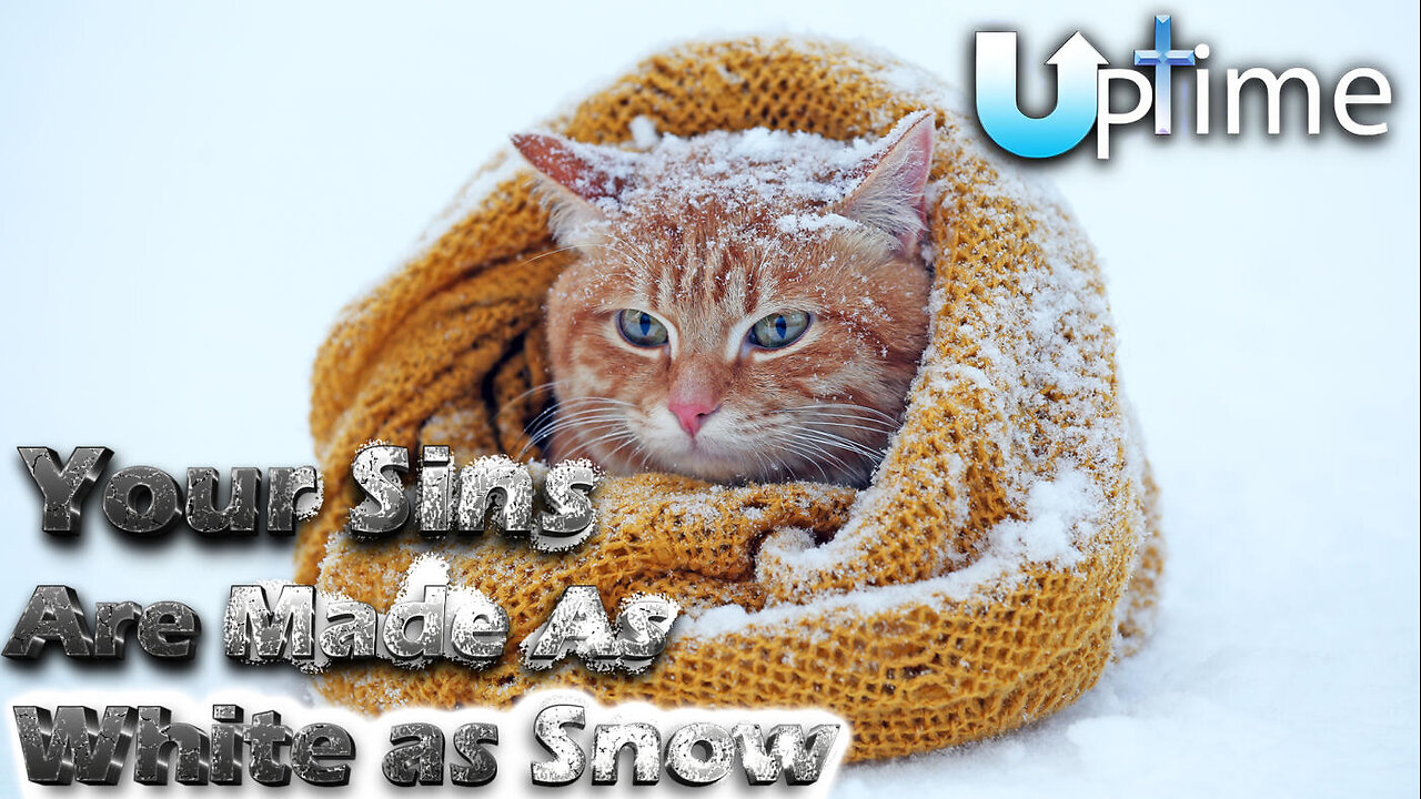 ❄️Your Sins Are Made as White as Snow❄️
